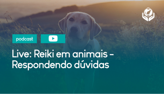 Captura-de-Tela-2020-11-05-as-21.42.42