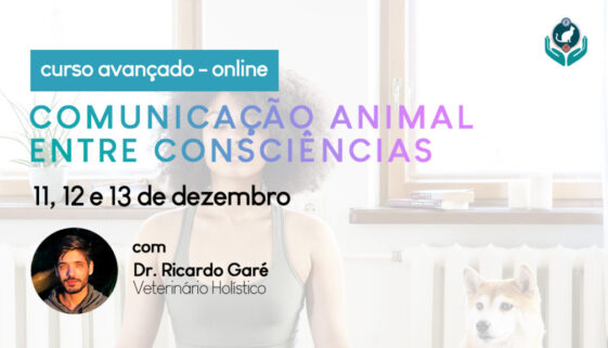 thumb-blog-curso-avancado-de-comunicacao
