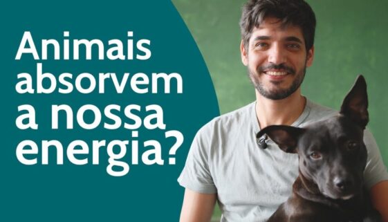 animais absorvem nossa energia