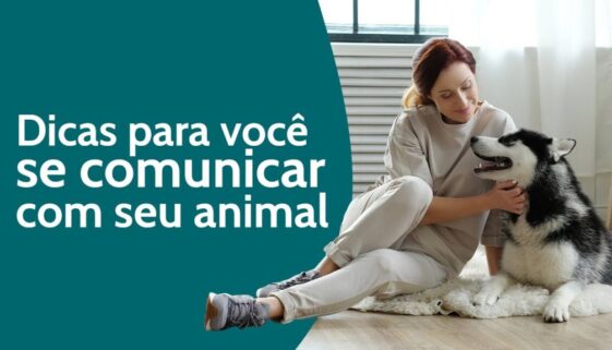 thumb-dicas-para-se-comunicar-melhor