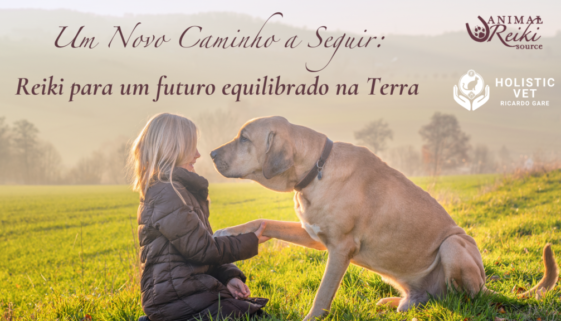 Workshop um novo caminho a seguir Reiki para um futuro equilibrado na Terra