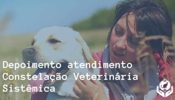 Depoimento Constelação Veterinária Sistêmica com cachorro Renzo