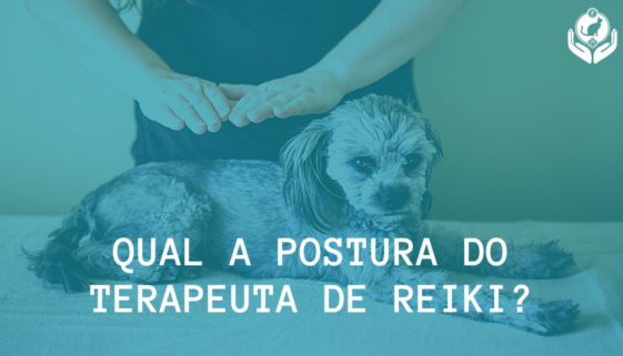 Qual a postura do terapeuta de Reiki