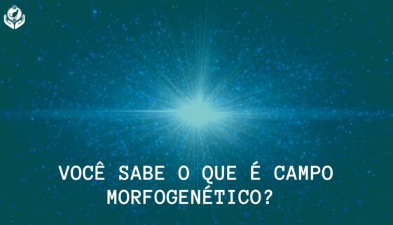 Você sabe o que é Campo Morfogenético