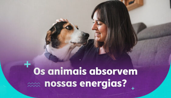 Os-animais-absorvem-nossa-energia-e-adoecem