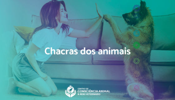 Chacras dos animais não-humanos