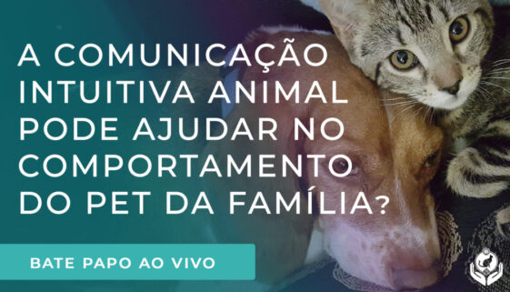 Live como a Comunicação Intuitiva Animal pode ajudar no comportamento do animal não-humano da família