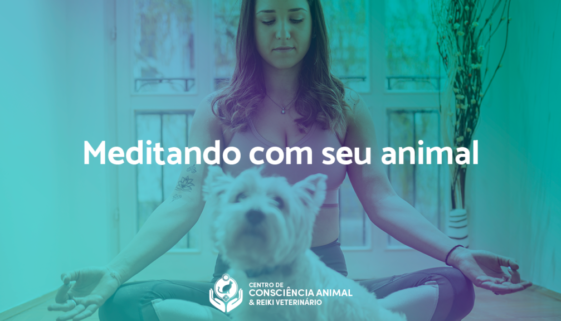 Meditando com seu animal.