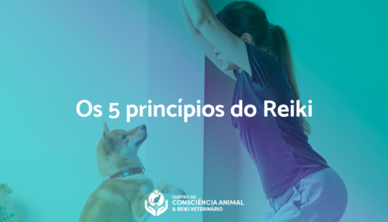 Os 5 Princípios do Reiki