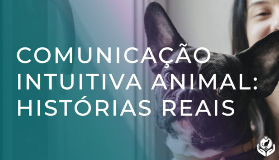 Vídeo relatos que comprovam a comunicação intuitiva animal