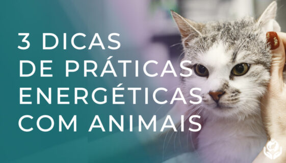 3 DICAS PARA MELHORAR SUA PRÁTICA ENERGÉTICA COM OS ANIMAIS