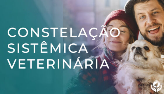 Constelações Sistêmicas Veterinárias você sabe o que é