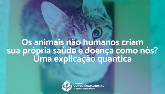 os-animais-nao-humanos-criam-sua-propria-saude-e-doenca-como-nos-uma-explicacao-quantica