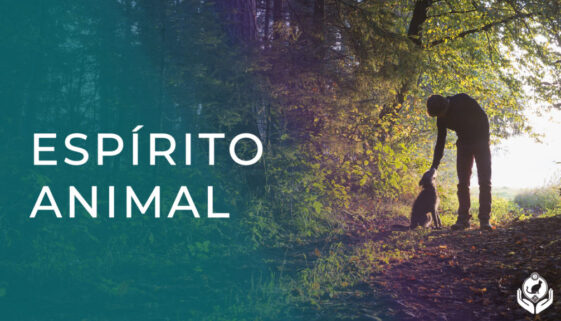 Animais têm espírito pessoas não-humanas