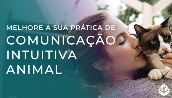 Como melhorar a Comunicação Intuitiva Animal com seu pet