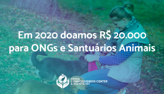 Formas que você pode ajudar ONGs de proteção animal