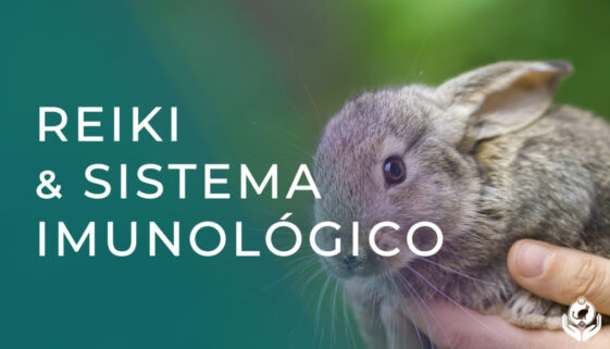 Os efeitos do Reiki no Sistema Imunológico