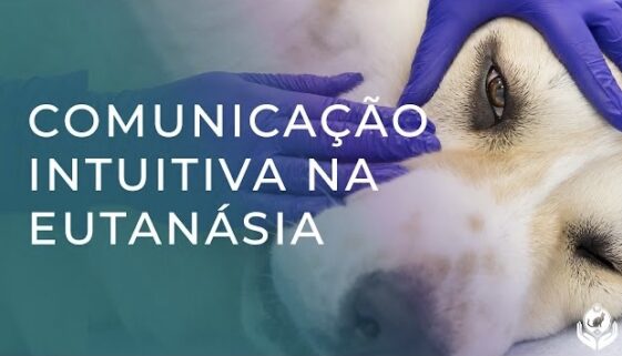 A importância da Comunicação Intuitiva no processo de eutanásia