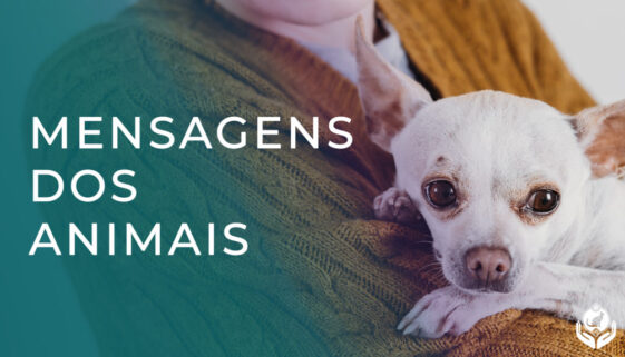 O que os animais podem nos dizer Comunicação Intuitiva Animal