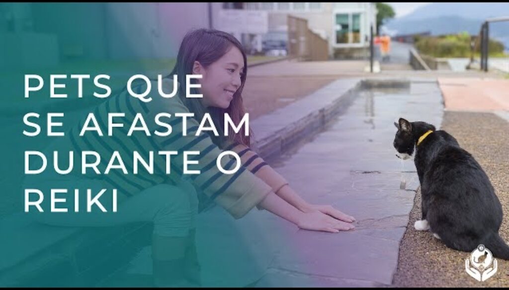 Pets que se afastam na hora do Reiki é normal Pets que se afastam na hora do Reiki é normal