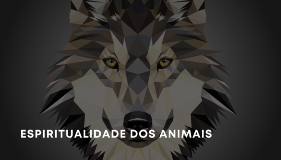 Seu animal é um Espírito que está aprendendo, igual a você.