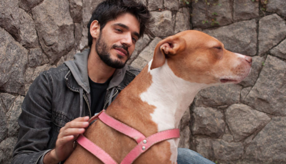 Curso online Aprendendo a se Comunicar Intuitivamente com os Animais.