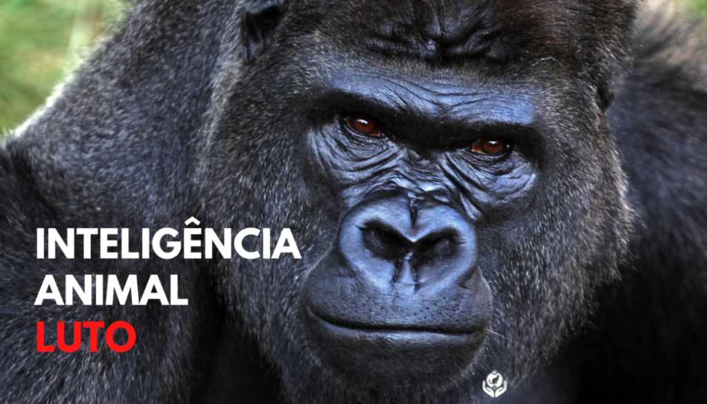 69740991-365F-4168-9F60-FDED75DCD11B 69740991-365F-4168-9F60-FDED75DCD11B