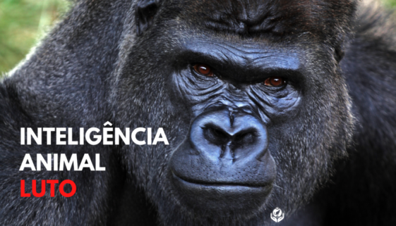 69740991-365F-4168-9F60-FDED75DCD11B 69740991-365F-4168-9F60-FDED75DCD11B