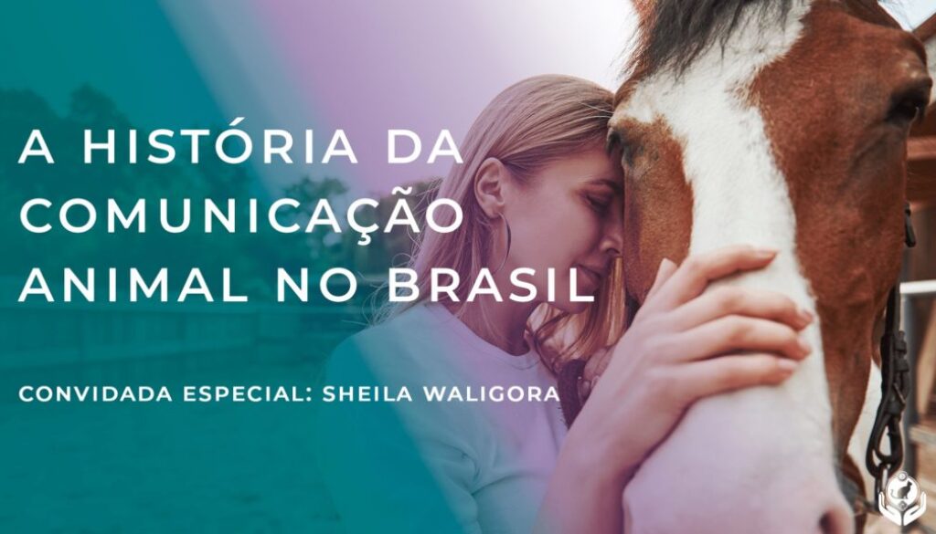 95A88CE6-A700-42FB-8474-20B05549006B 95A88CE6-A700-42FB-8474-20B05549006B