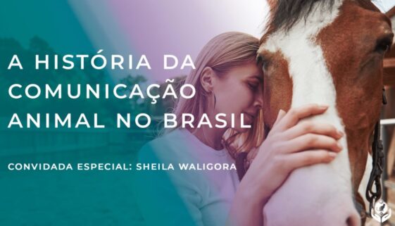 95A88CE6-A700-42FB-8474-20B05549006B