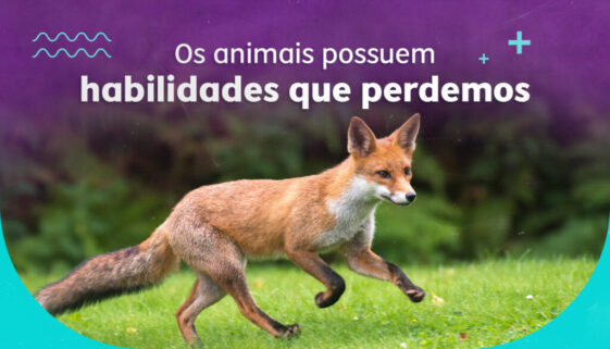[CCA] [CAPAS DO BLOG] [10]
