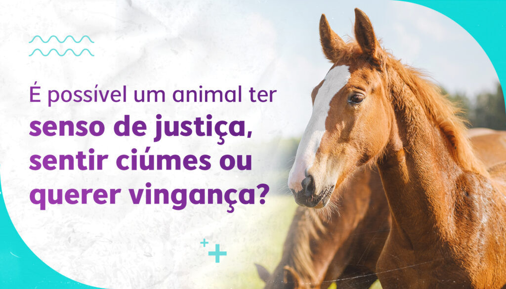 [CCA] [CAPAS DO BLOG] [01]