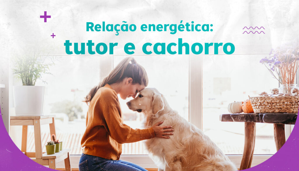 [CCA] [CAPAS DO BLOG] [05]