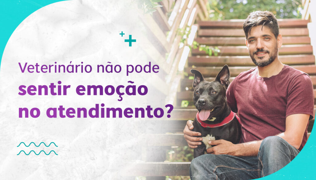 [CCA] [CAPAS DO BLOG] [06]