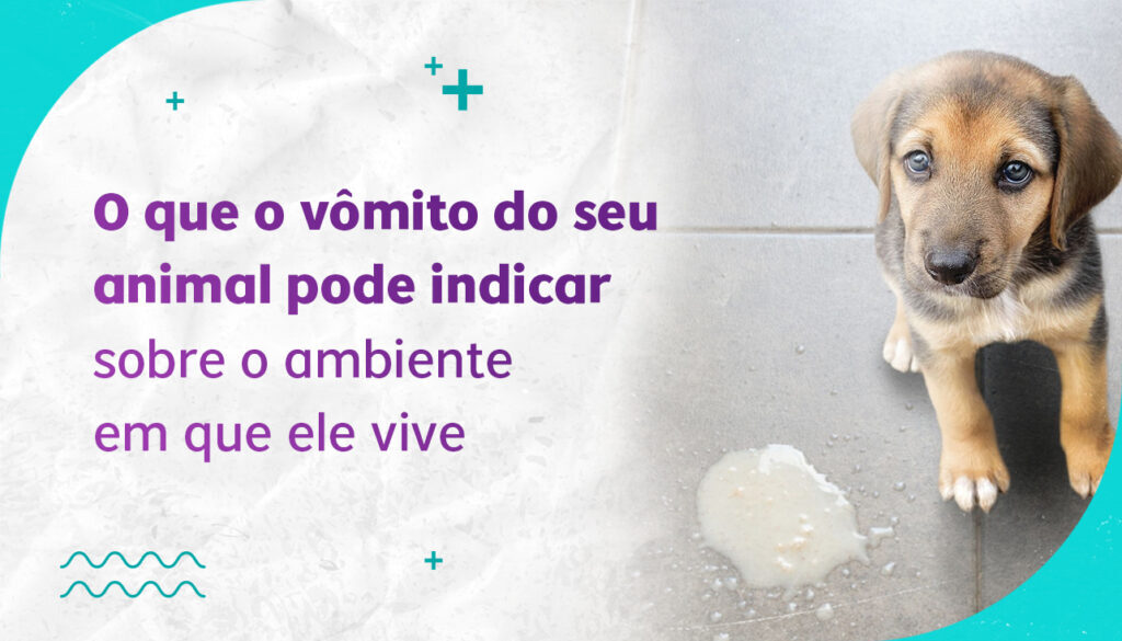 [CCA][CAPA][BLOG] [02.08]