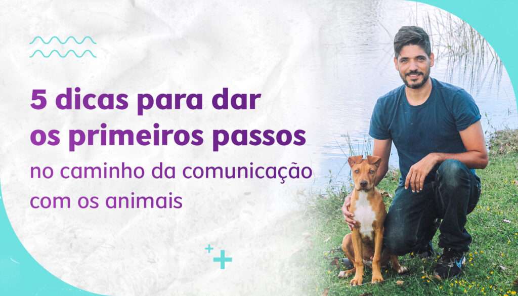 [CCA][CAPA][BLOG] [06.09]