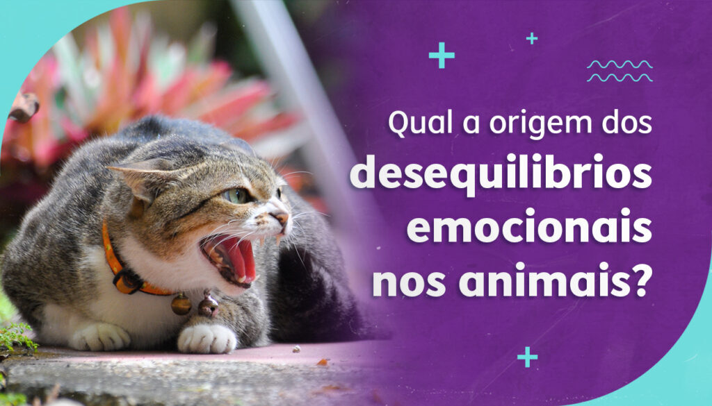 [CCA][CAPA][BLOG] [20.09]