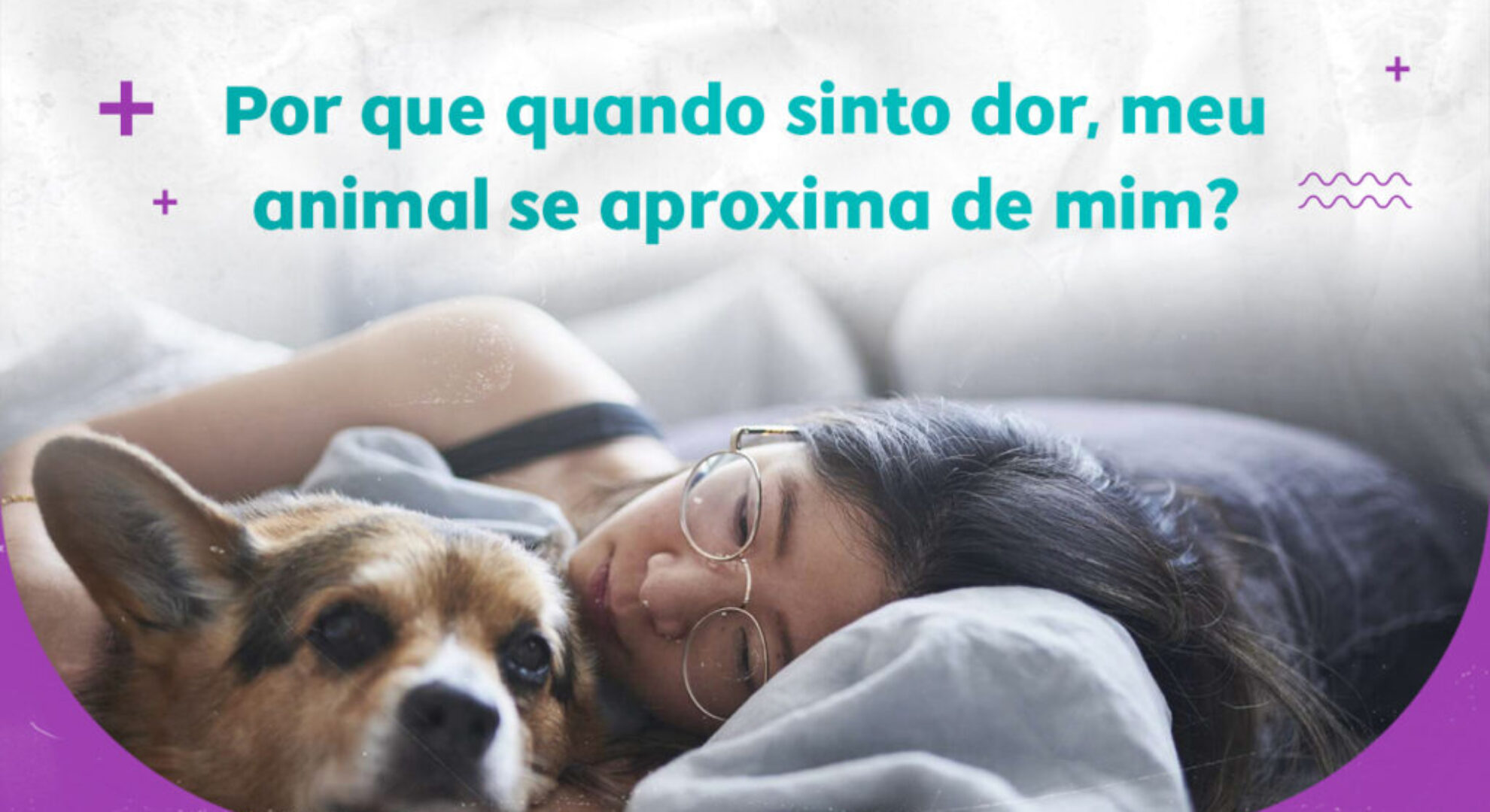 Por que Quando Sinto Dor Meu Animal Se Aproxima de Mim?