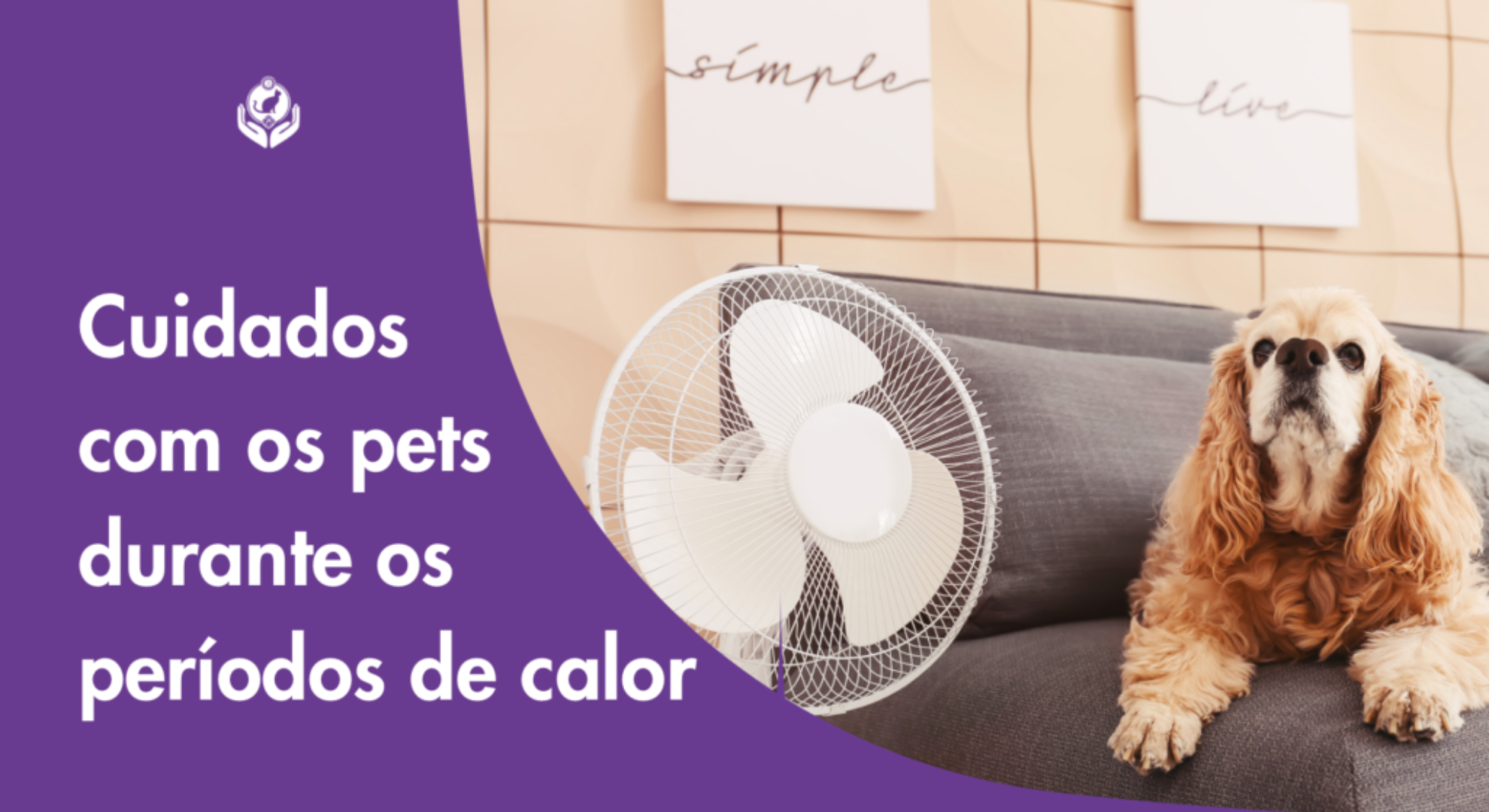 Cuidados com os animais durante os períodos de calor Cuidados com os animais durante os períodos de calor