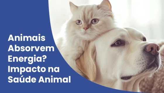 Animais Absorvem Energia Impacto na Saúde Animal Animais Absorvem Energia Impacto na Saúde Animal