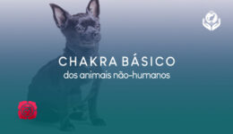 chakra-basico-blog