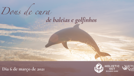 Workshop Série Sabedoria dos Animais – dons de cura de baleias e golfinhos