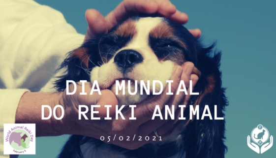 blog-dia-mundial-do-reiki-animal-2