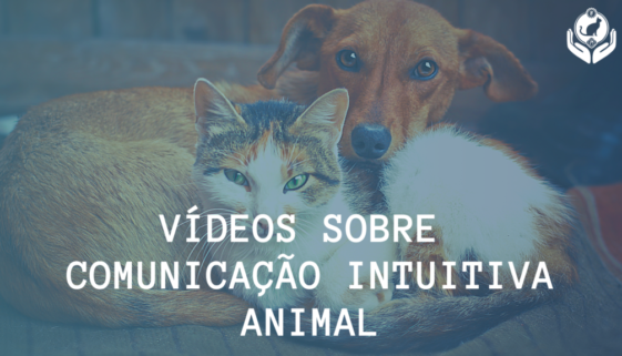 Vídeos sobre Comunicação Intuitiva Animal