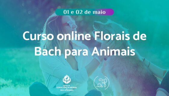 Curso online de Florais de Bach para Animais com Lys Alves