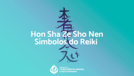Hon Sha Ze Sho Nen - Símbolos do Reiki