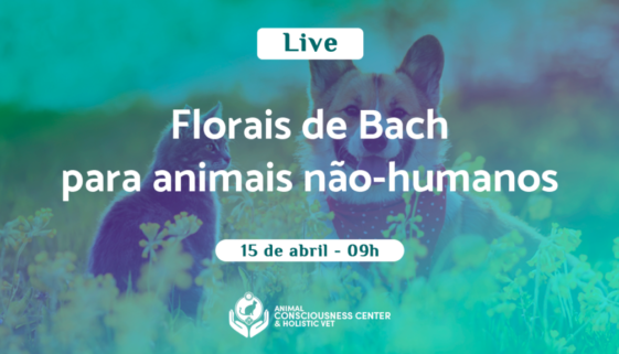 Live sobre Florais de Bach para animais