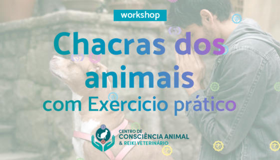Workshop Grátis – Chakra dos Cães e Gatos