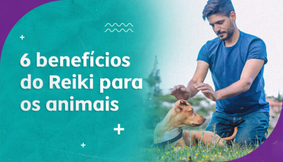 Benefícios do Reiki para os Animais