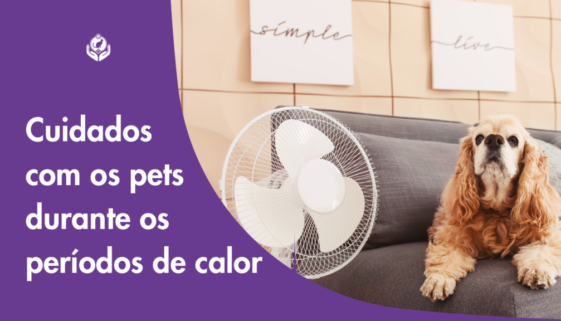 Cuidados com os animais durante os períodos de calor